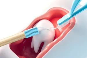 A close-up illustration of a healthy human tooth with visible roots embedded in pink gums, showing proper dental hygiene tools like a soft toothbrush and floss gently cleaning around the gumline, with subtle glowing highlights indicating good oral health, set against a clean, neutral background